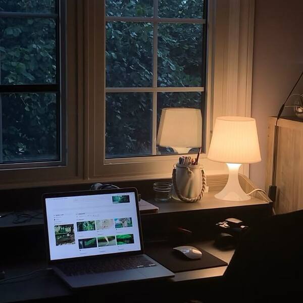A calm morning desk setup with notebook and soft natural light